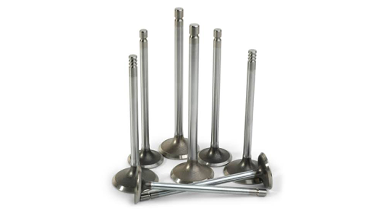 Intake and Exhaust Engine Valve for Diesel Trucks